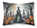 Evil Queen Spooky Halloween Standard Pillowcase Lightweight Super Soft Easy Care Decorative Artwork Pillowcase, Standard
